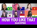 Quem Canta Melhor? Cover How You Like That (Austrália,Brasil,Coreia Do Sul,Índia,Indonésia,Vietnã)