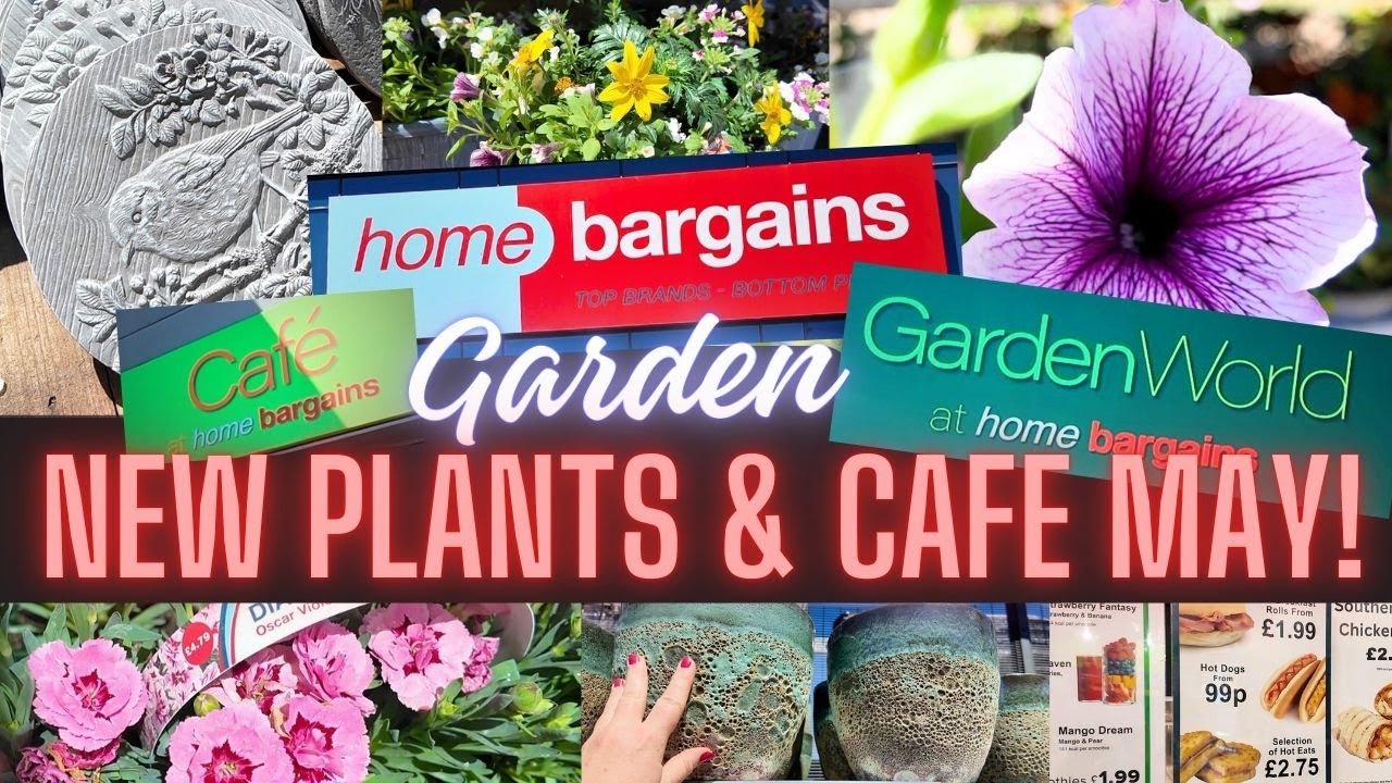 Home Bargains New Summer Plants Garden World | Cafe Prices | Shop with Me May 2025🌱🌸