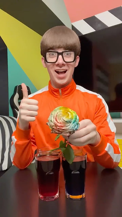 The rainbow rose