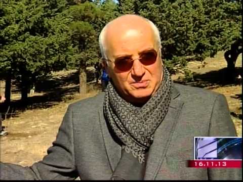 გარემოს გამწვანების აქცია