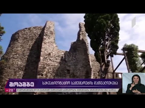 სარეაბილიტაციო სამუშაოების დათვალიერება