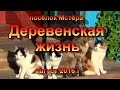 Деревенская жизнь. поселок Мстера. Отдых от города.