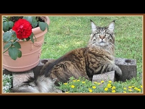 Интересные факты про кино