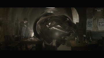 Fantastic Beasts and Where to Find Them (2016) -  All apparation scenes [1080p]