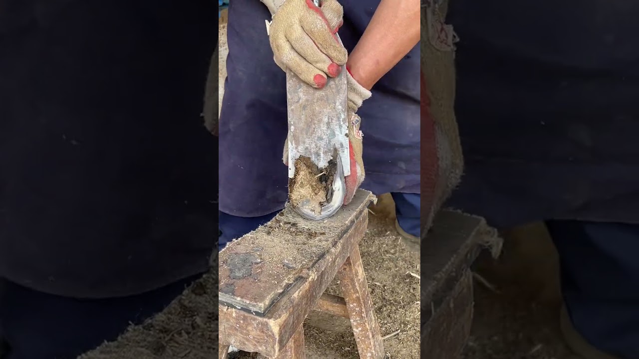 30 seconds - Wonderful hoof trimming video丨ASMR丨Donkey hoof cutting sound