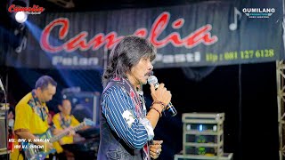 Download Lagu CAMELIA MUSIC - TAK BERDAYA - LUKITO MC - WEDDING MEGA \u0026 ARIK - CEPOGO KEMBANG JEPARA MP3