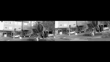 Affine Transform+Motion Vector Integration-3