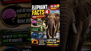 🐘 Elephant Facts | The Animal That Never Forgets! 😱
