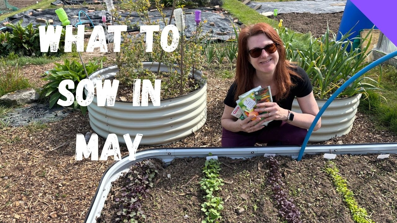 What To Sow In May - Allotment Gardening For Beginners UK