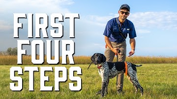 The Secret to Steady Points – Steps 1-4 for “Whoa” Training!