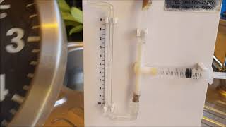 Using a potometer: measuring water uptake