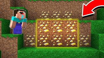 Minecraft - NOOB vs PRO : NOOB FOUND THIS GOLD IN DIRT! SECRET MINE! Challenge 100% trolling