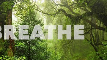 Photoshop Keyframes Example