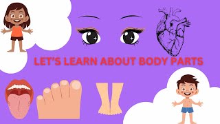 Body-Parts of the Body- Vocabulary-learn English for kids-English educational video-human body parts