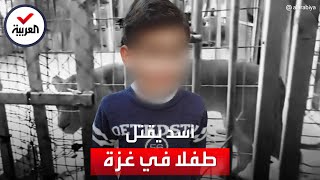 أسد يفترس طفلًا في غزة بعدما دخل إلى قفصه متسللًا