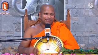 Ven. Aluthgama Pannasara Thero ||පූජ්‍ය.අළුත්ගම පඤ්ඤාසාර ස්වාමින් වහන්සේ ||#කුසල්වඩනබුදුමඟ