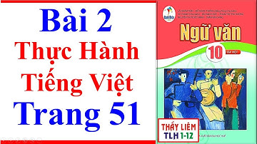 Ngữ Văn 10 Bài 2 | Thực Hành Tiếng Việt | Trang 51 | Cánh Diều