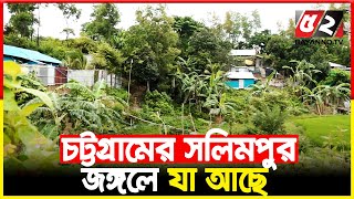 ভয়ংকর অপরাধের স্বর্গরাজ্য চট্টগ্রামের সলিমপুর জঙ্গল যা আছে | Chattogram screenshot 4