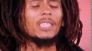 Video thumbnail of "Bob Marley - Positive Vibration (Live at TopPop TV Netherlands, 1976)"