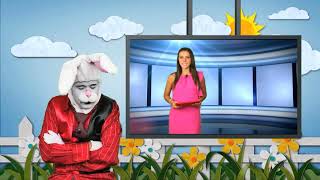conejo 1 1
