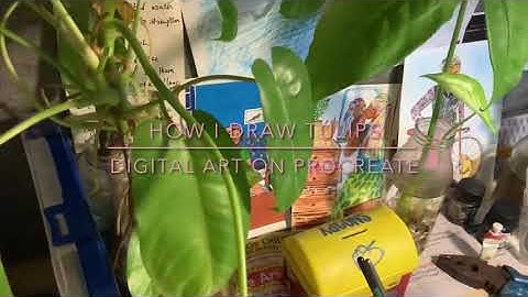 Drawing Tulips on Procreate | Time lapse video