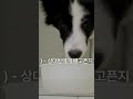 대박 쉽게 영어 말하기!19 #영어회화 #기초영어회화 #영어말하기