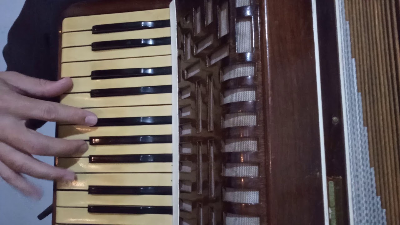 Xote facinho ADEUS MARIANA.