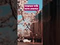 আল্লাহুম্মা সাল্লি আলা মোহাম্মদ ❤️❤️❤️ #viral #shorts #azhari #islamicshorts