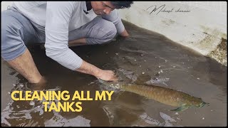 Cleaning our monster fish tank 🥵🤢|shifting fridge box|work loaded day 🔥#aquarium #tamil #fishtank