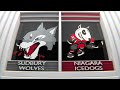 OHL Highlights: Sudbury Wolves 9 @ Niagara IceDogs 2 - March 23rd, 2024