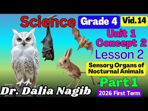 ساينس رابعة ابتدائى ترم اول 𝟐𝟎𝟐𝟔 𝑺𝒄𝒊𝒆𝒏𝒄𝒆 𝗚𝗿𝗮𝗱𝗲 𝟰 𝐂𝐨𝐧𝐜𝐞𝐩𝐭 2 𝐋𝐞𝐬𝐬𝐨𝐧 2 Part 1 ساينس رابعة ابتدائى ترم اول 𝟐𝟎𝟐𝟔 𝑺𝒄𝒊𝒆𝒏𝒄𝒆 𝗚𝗿𝗮𝗱𝗲 𝟰 𝐂𝐨𝐧𝐜𝐞𝐩𝐭 2 𝐋𝐞𝐬𝐬𝐨𝐧 2 Part 1