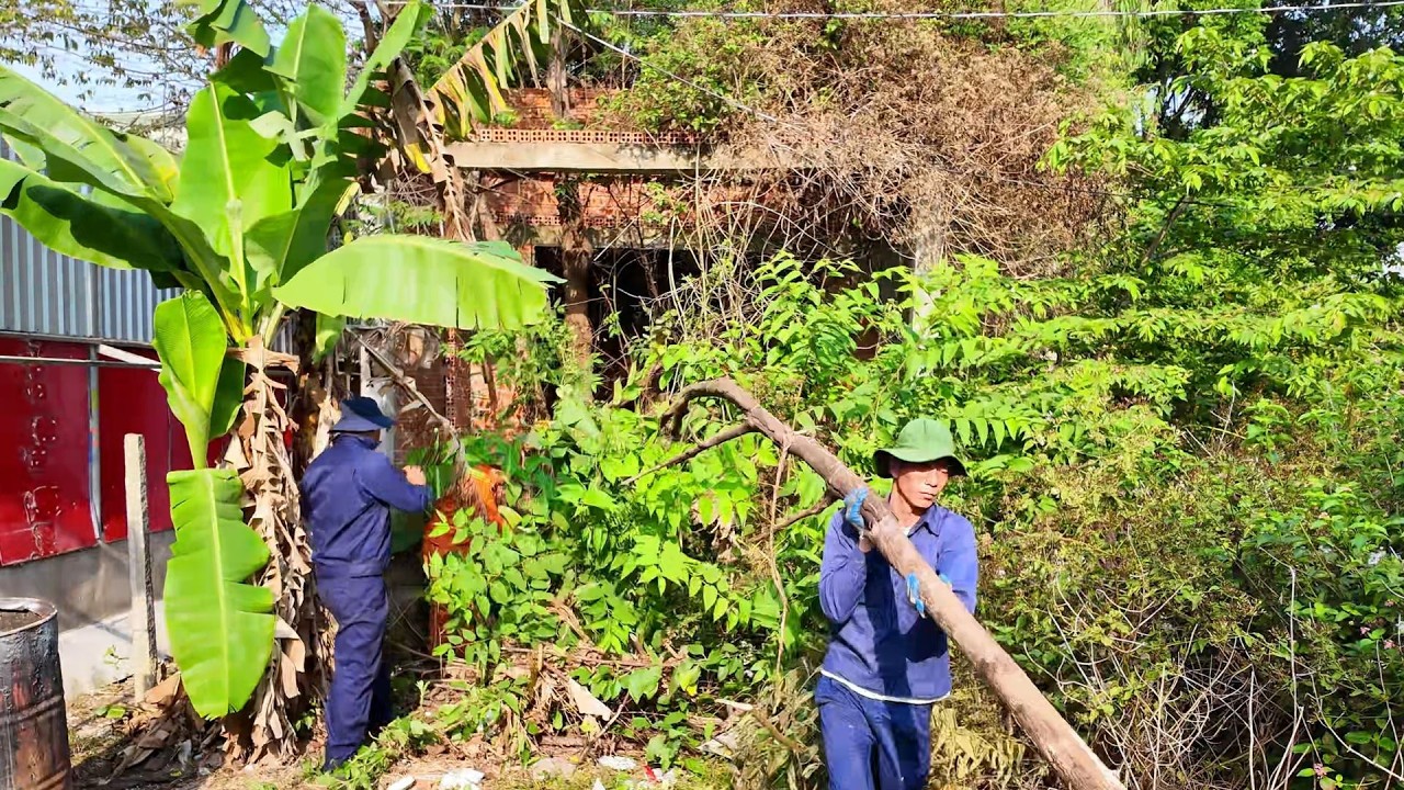 A Giant Tree Taken Over This 5-Year ABANDONED House - An Amazing Transformation