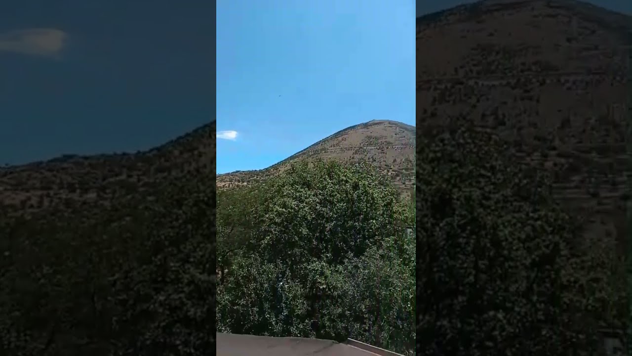 ÇATIYA ÇIKTIM🤣🥳 #keşfet #love #beniöneçıkart #papatya #abone #nature # ...