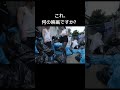 始まる動画 #かわいい #すごい #面白集 #元気になる動画 #ドッキリ #最高のシーン #映画 #可愛い#美人#shorts