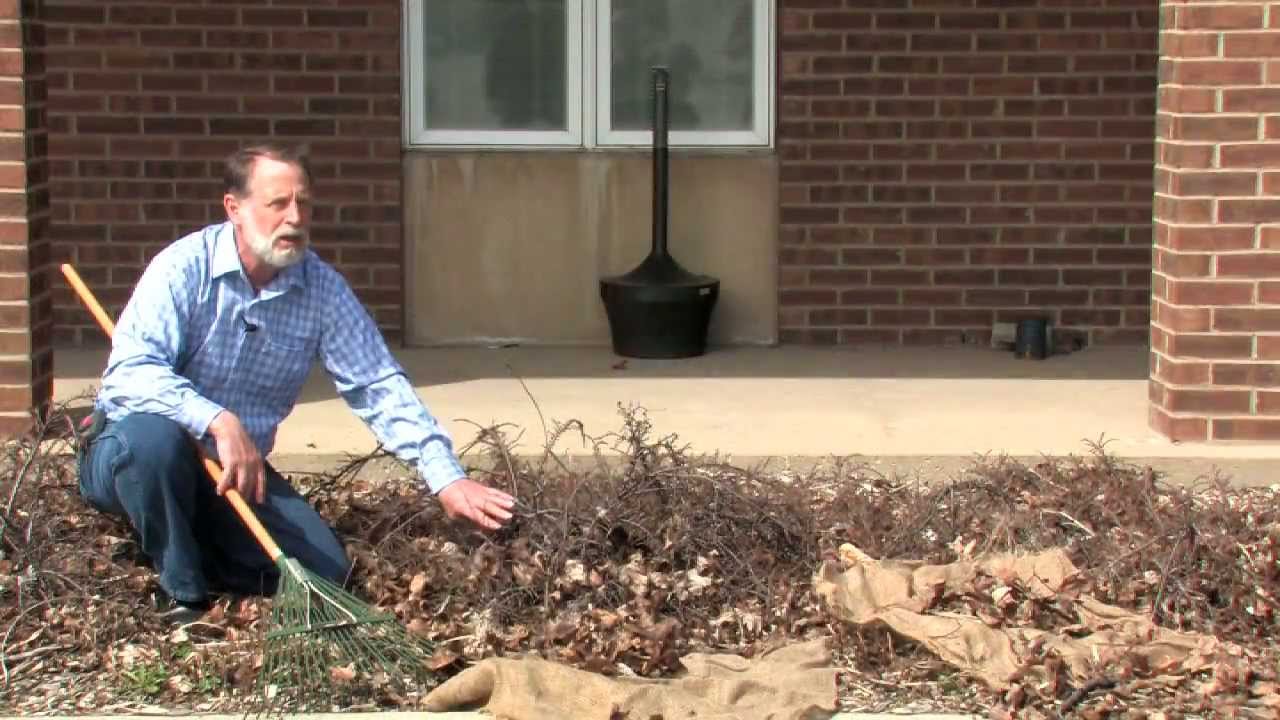 Need Tips on Cleaning Out Your Planting Beds?