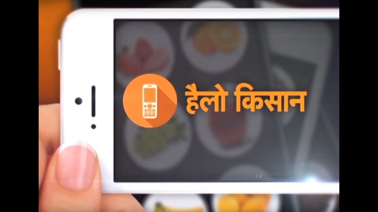 Hello Kisan - बदलते परिवेश में गेहूं और जौ की उन्नत किस्में और आधुनिक बुवाई की तकनीक farmers insurance