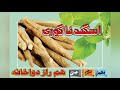   اسگند نا گوری     0342 4163100