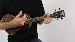 Kala Ka-Bfc Bocote Erfly Concert Ukulele The Ukebug