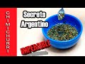 CHIMICHURRI  ARGENTINO CASERO - Receta ORIGINAL  +  SECRETO 🙄