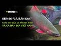 CÁ CHUYỆN | SERIES CÁ BẢN ĐỊA | SỰ KHÁC BIỆT GIỮA CÁ BẢN ĐỊA NHẬP VÀ CÁ BẢN ĐỊA VIỆT NAM