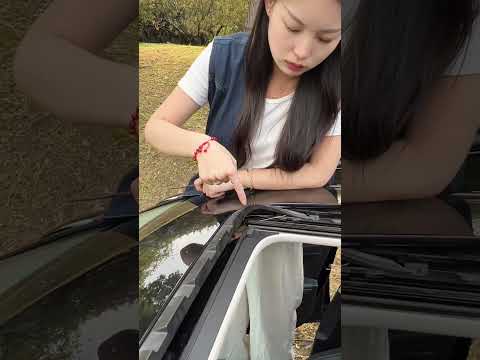 After the Rain, Check These Car Drain Holes — Or It Could Cost You $3,000! #drivetips #driving