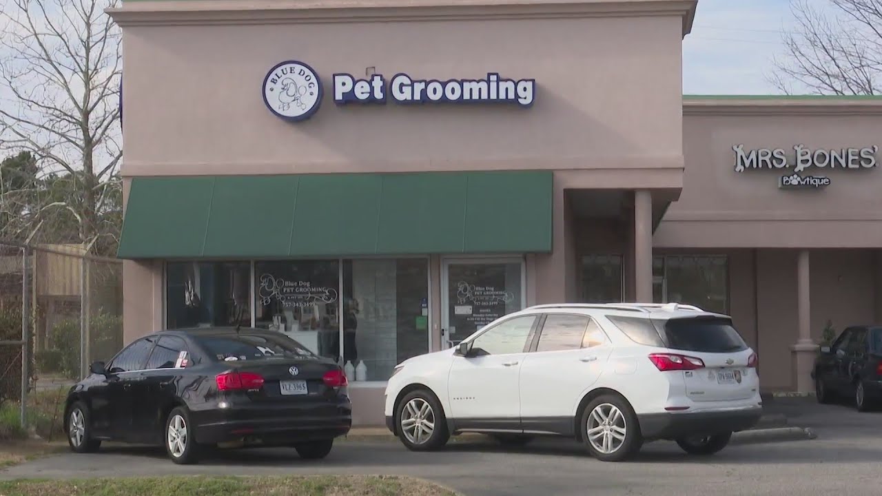 Virginia Beach groomer under investigation for animal cruelty YouTube