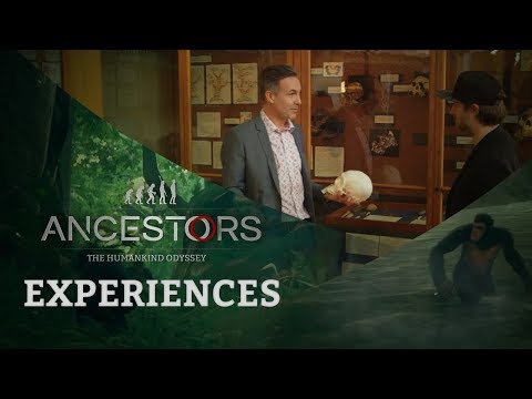 Ancestors: The Humankind Odyssey - Experiences: The Anthropologist