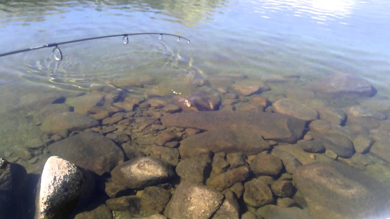 Yosemite High Country Fishing YouTube