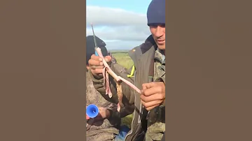 😳  Зачем ненцы пьют оленью кровь и едят сырое мясо #shorts