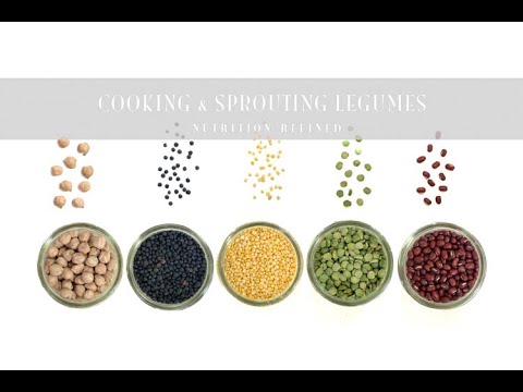 A Comprehensive Guide to Cooking & Sprouting Legumes (Beans, Lentils, Chickpeas) + Recipes