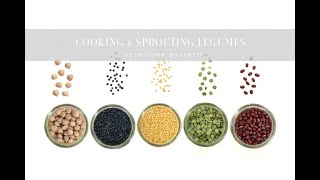 A Comprehensive Guide to Cooking & Sprouting Legumes (Beans, Lentils, Chickpeas) + Recipes