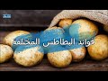 فوائد البطاطس المختلفة 