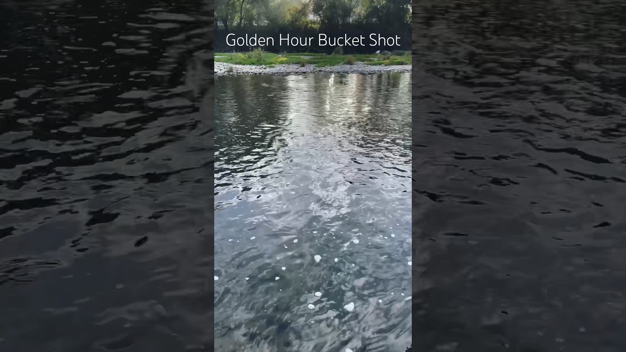 Golden Hour Bucket Shot                        