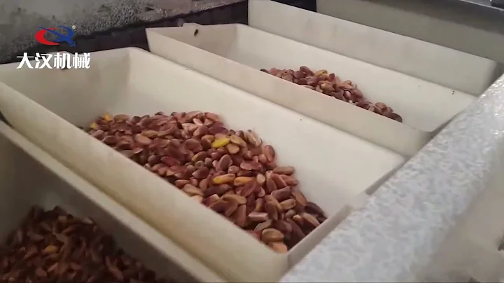 Potato chip transport Z-type bucket elevator